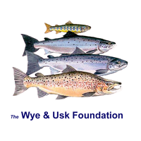 The Wye and Usk Foundation